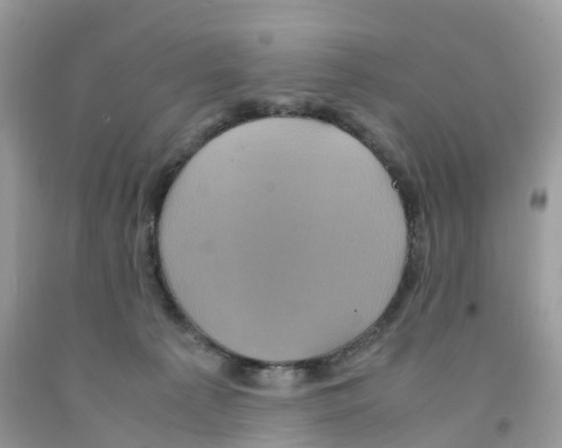 X0000091550225200709141522