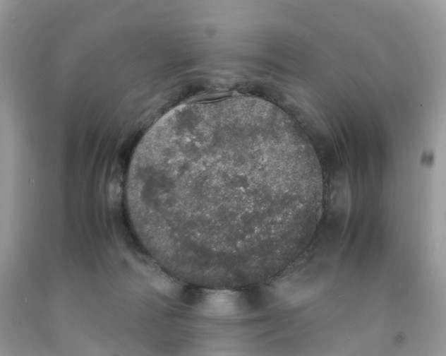 X0000091550226200709141522