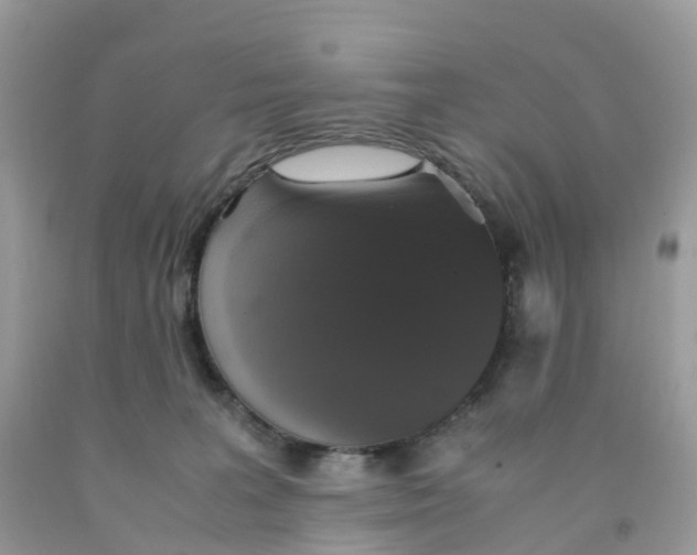 X0000091550227200709141522