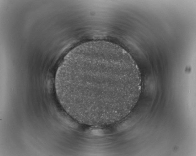 X0000091550228200709141522