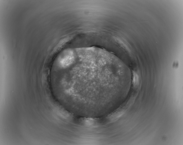 X0000091550229200709141522