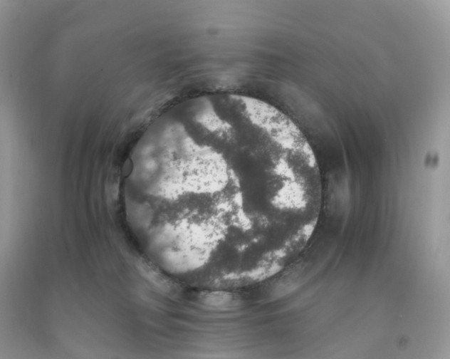 X0000091550230200709141522