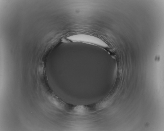 X0000091550231200709141522