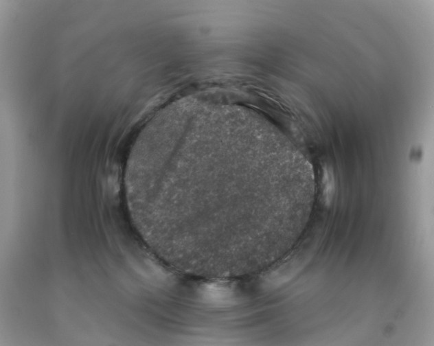 X0000091550232200709141522