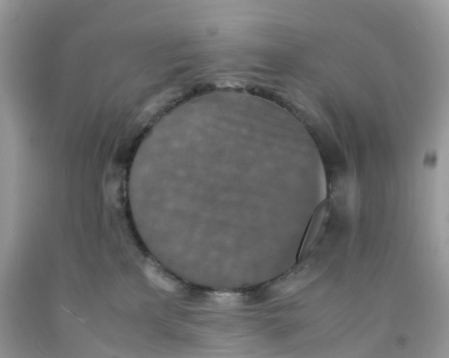 X0000091550233200709141522