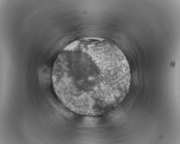 X0000091550234200709141522