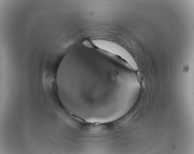 X0000091550235200709141522