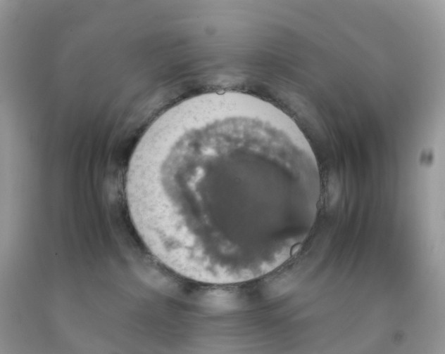 X0000091550236200709141522