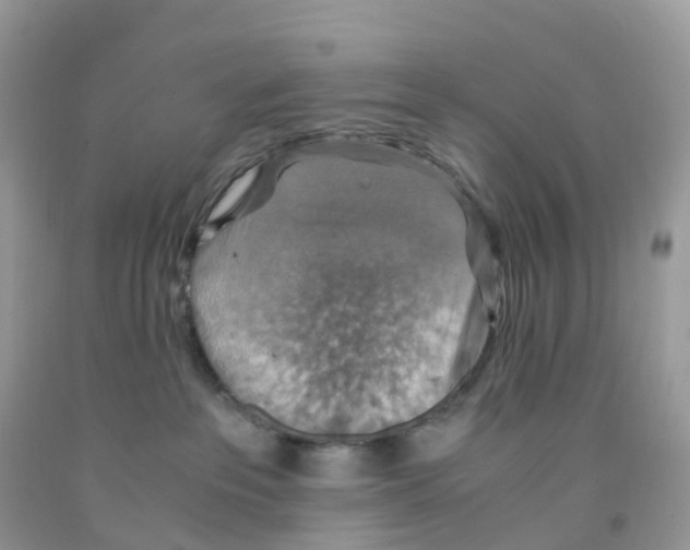 X0000091550237200709141522