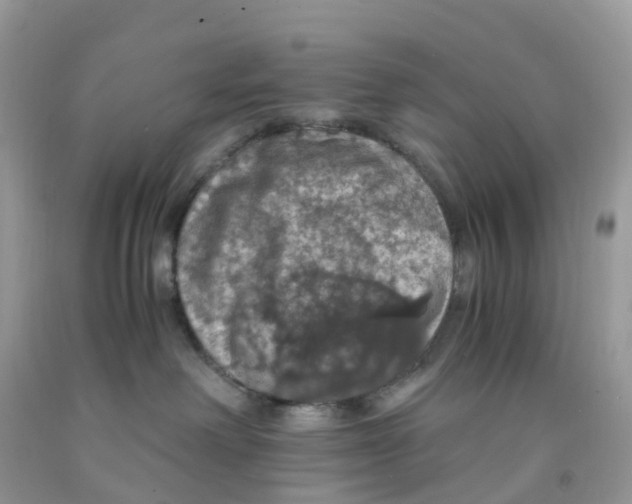 X0000091550238200709141522