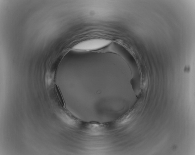 X0000091550239200709141522