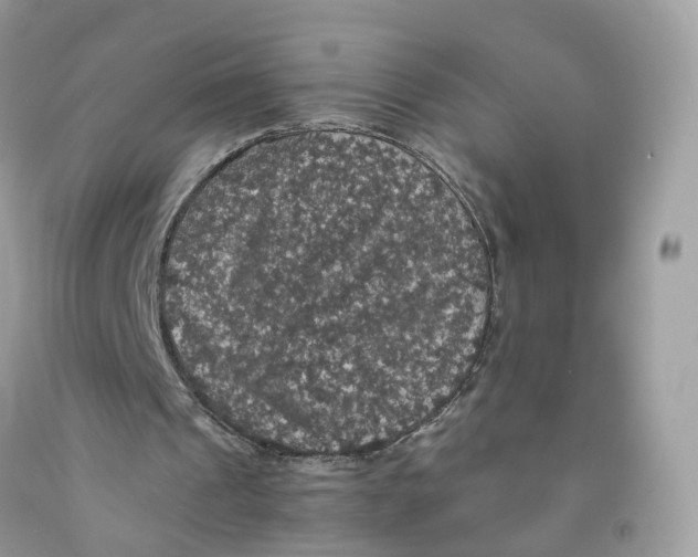 X0000091550241200709141521