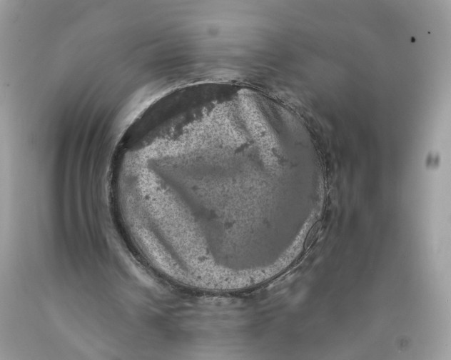 X0000091550242200709141521