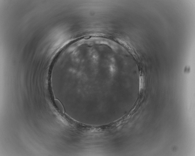 X0000091550243200709141521