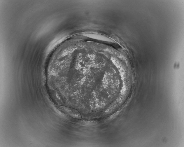 X0000091550245200709141521