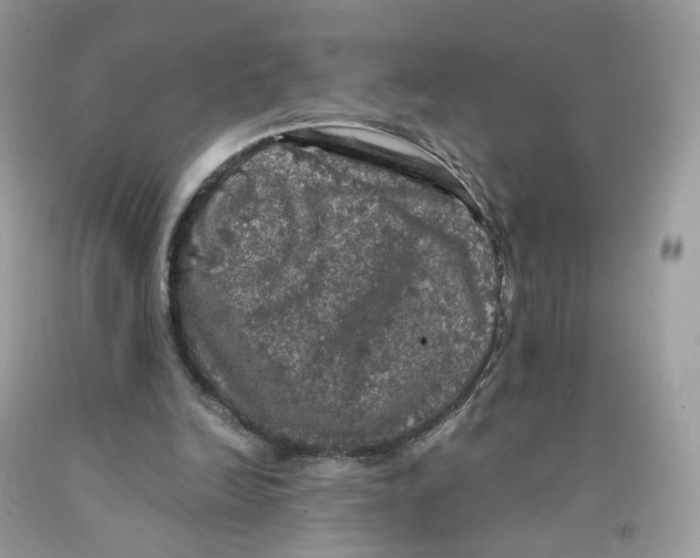 X0000091550246200709141521