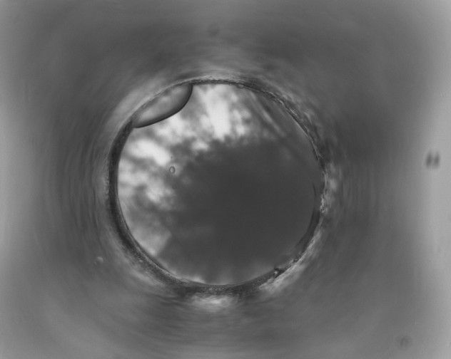 X0000091550247200709141521