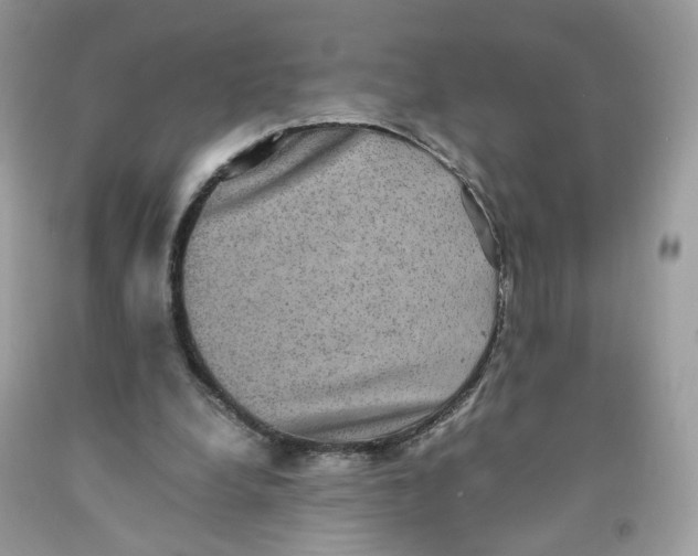 X0000091550248200709141521