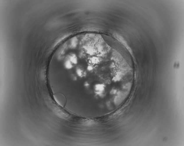 X0000091550249200709141521