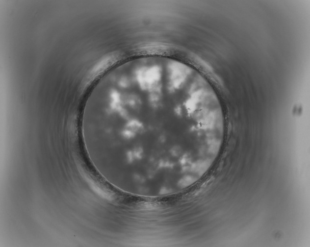 X0000091550250200709141521