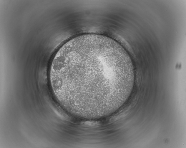 X0000091550251200709141521