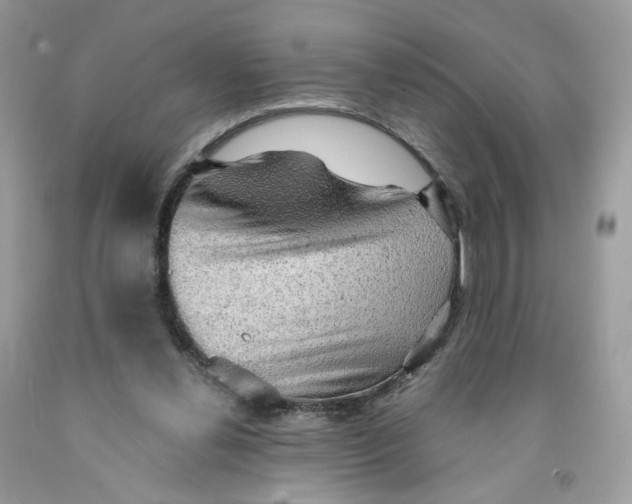 X0000091550252200709141521