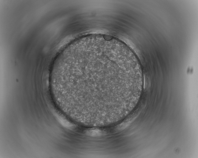 X0000091550253200709141521