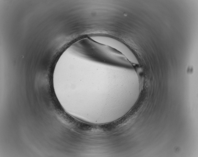 X0000091550256200709141521