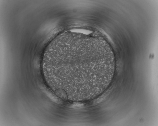 X0000091550257200709141521