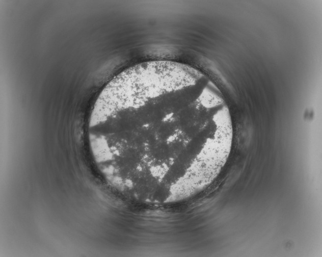 X0000091550259200709141521