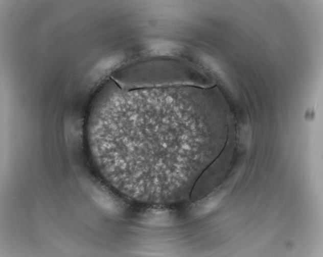 X0000091550260200709141521