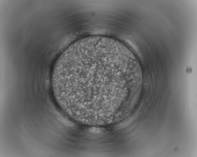 X0000091550261200709141521