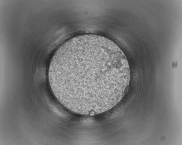 X0000091550262200709141521