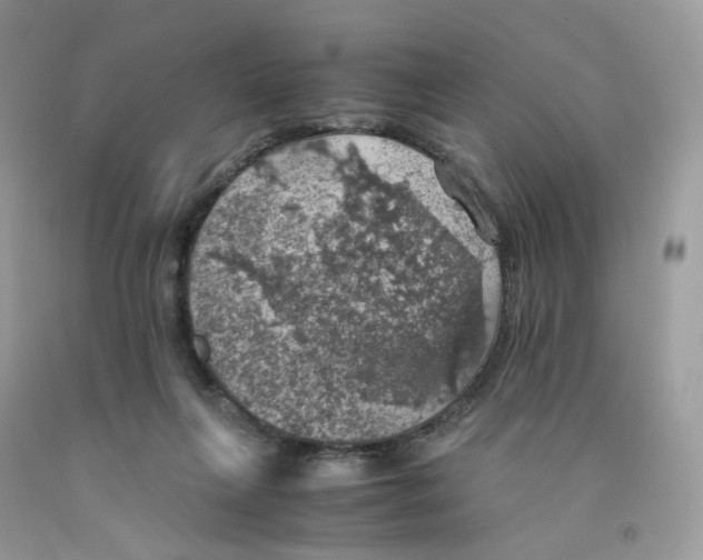 X0000091550263200709141521