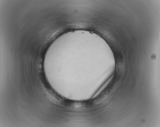 X0000091550264200709141521