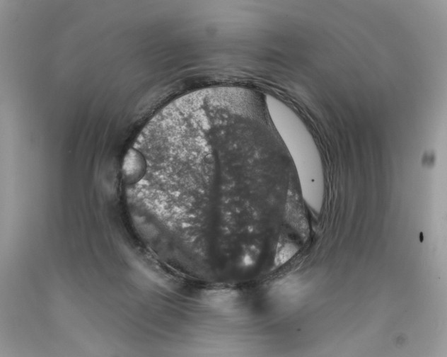 X0000091550266200709141522