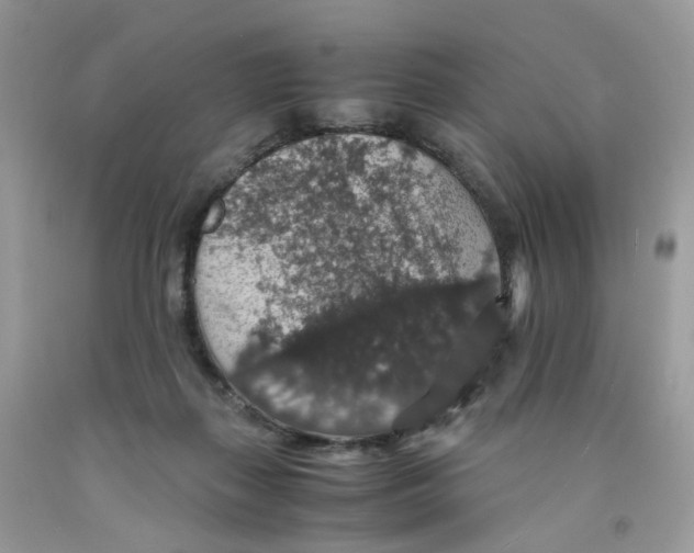 X0000091550267200709141522