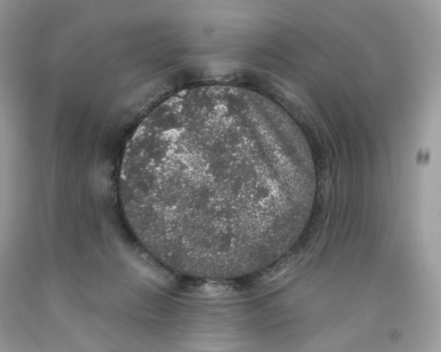 X0000091550270200709141522