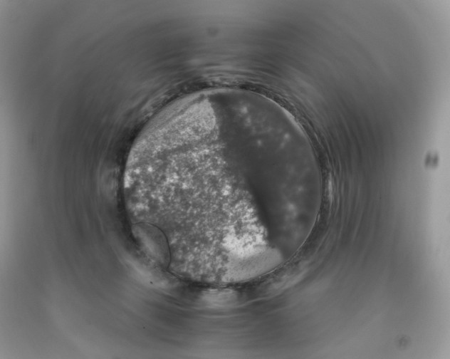 X0000091550271200709141522