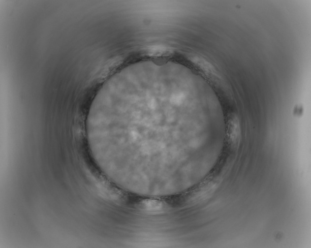 X0000091550272200709141522