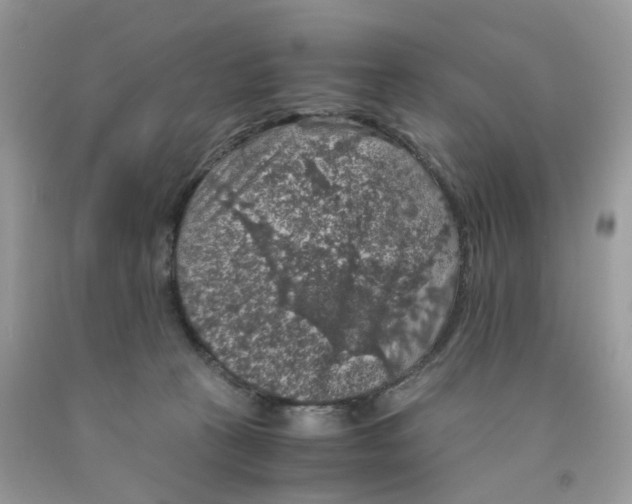 X0000091550273200709141522