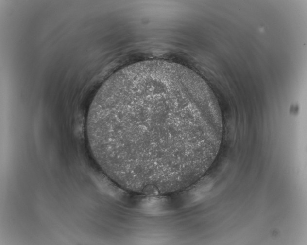 X0000091550274200709141522