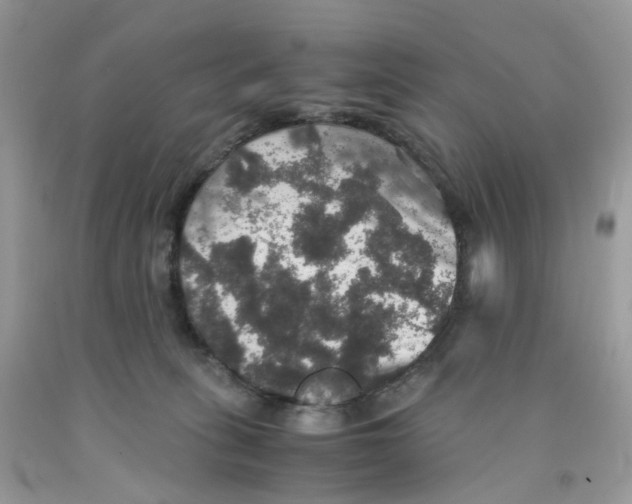 X0000091550275200709141522