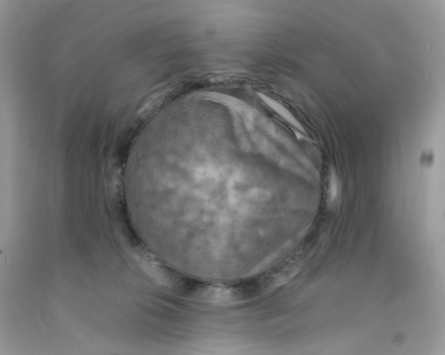 X0000091550276200709141522