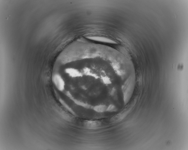 X0000091550277200709141522