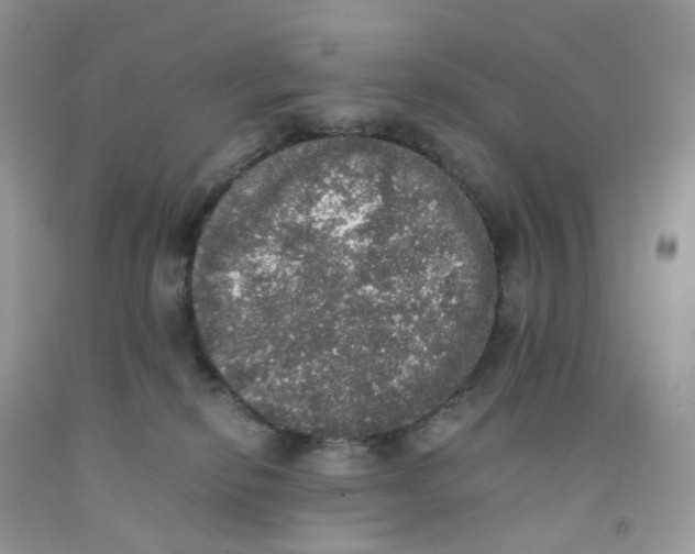 X0000091550278200709141522