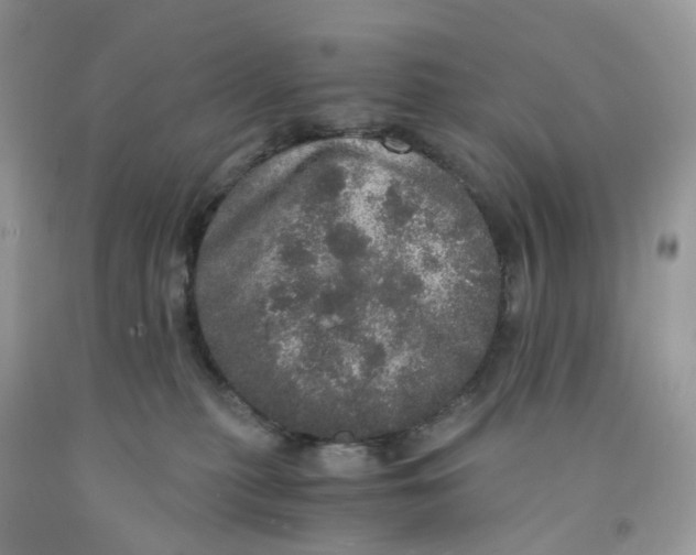 X0000091550279200709141522