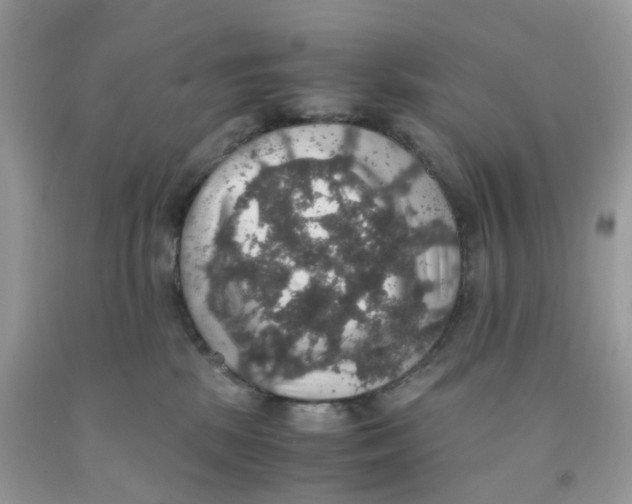 X0000091550281200709141522