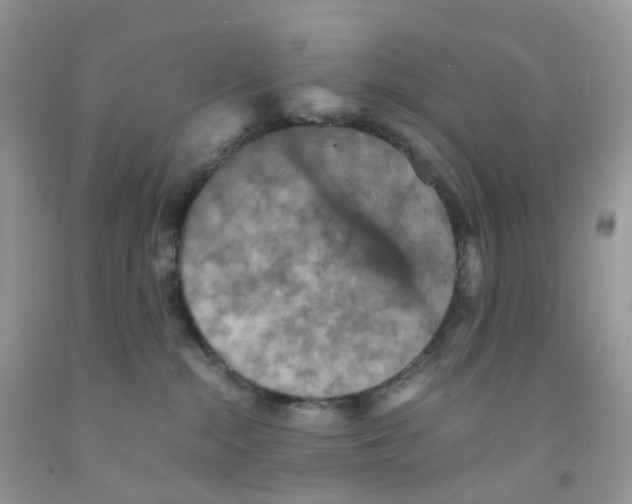 X0000091550284200709141522