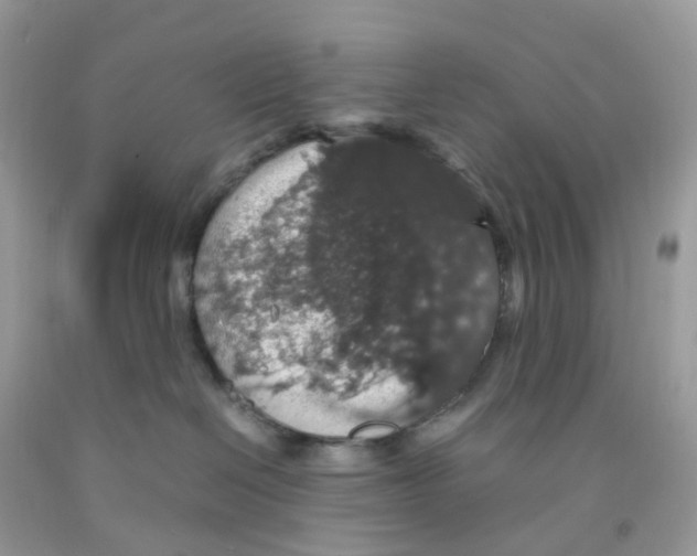 X0000091550286200709141522